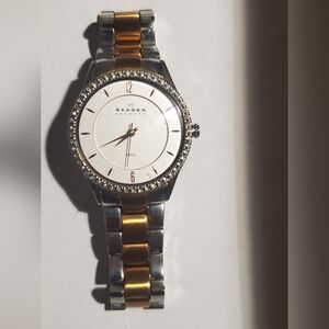 Skagen Two-Tone Silver and Gold Watch